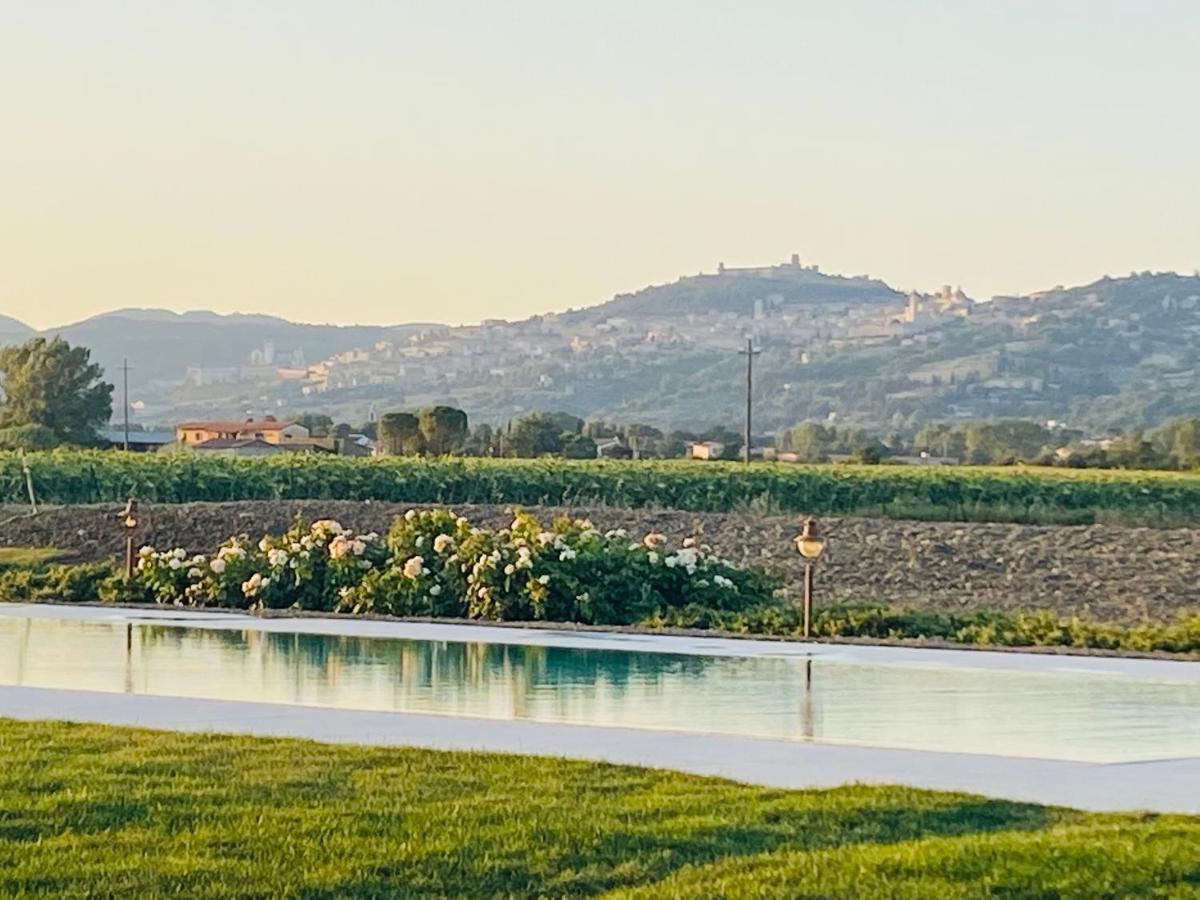Borgo Degli Angeli Resort E Spa San Vitale Εξωτερικό φωτογραφία